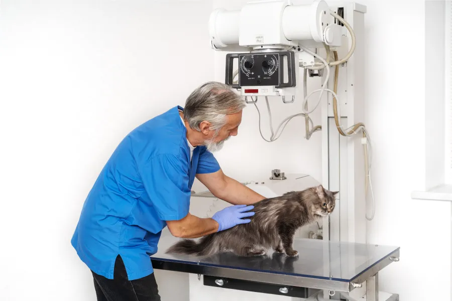 Advanced-Surgical-Equipment