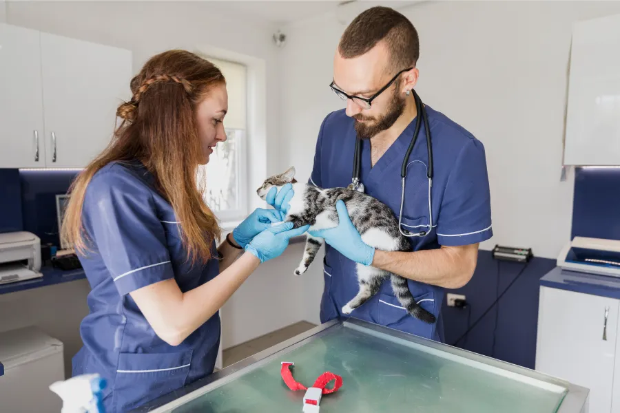 Expert-Surgical-Team