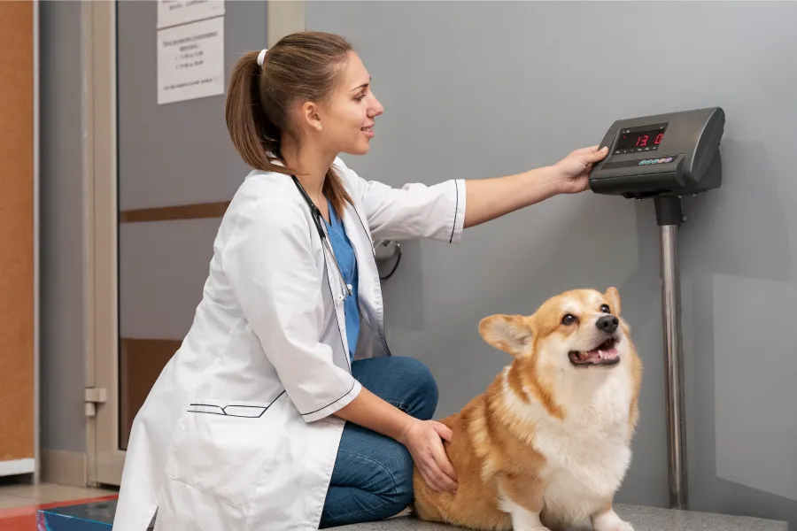 Grooming-Health-Monitoring-During-Grooming